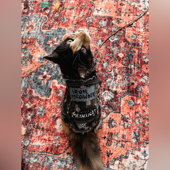 Iron MEOWDEN pet vest - Picture 2 of 5